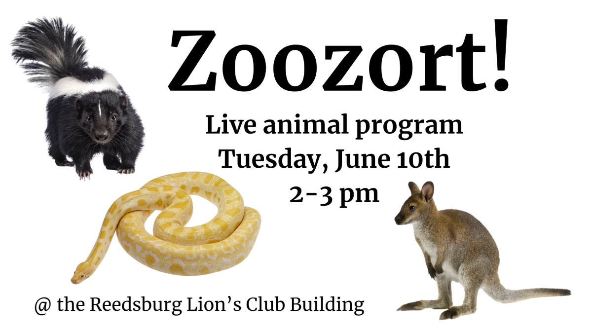 Zoozort Live animal program June 10th 2-3pm
